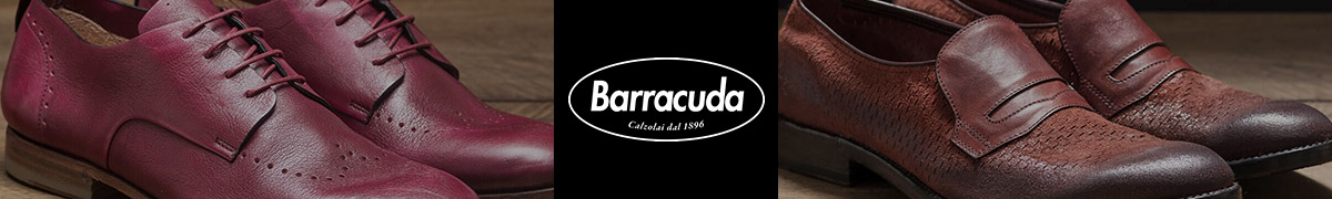 Barracuda